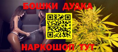 a pvp Славгород
