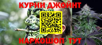 a pvp Славгород