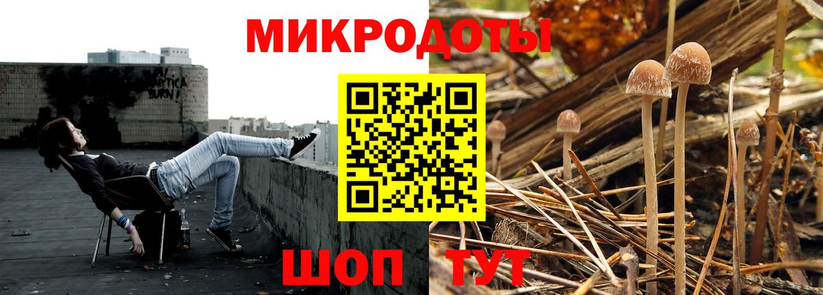 Псилоцибиновые грибы мухоморы Протвино